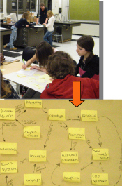 Students create concept maps during a unit on genetics
