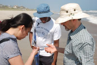 Dr. Min Liu learns about North Carolina beach sands from regional teachers