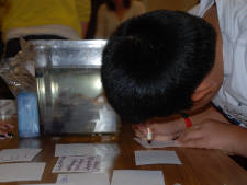 Visitor to Lawrence Hall of Science engages in a crayfish inquiry