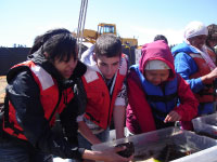 High school apprentices from the SCSA program evaluating benthic organisms