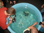 Participants trying out ROVs at Family Science Weekend