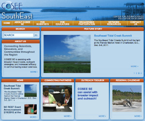 Image of the COSEE SouthEast home page