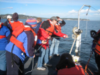 OIP cruise participants casting nets, to 70 meters deep, for zooplankton in Puget Sound