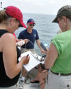 Teachers collect water quality data during a workshop