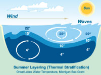 Thermal stratification in the Great Lakes