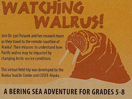 Watching Walrus poster
