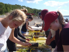 Teachers and students making grids for eelgrass restoration