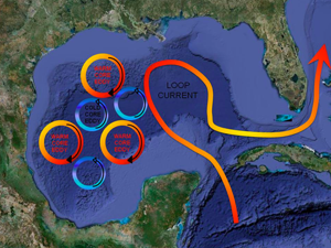 Image showing cartoon of Loop Current as curving arrow moving through Gulf of Mexico, with eddies and gyres breaking off and remaining in Gulf.